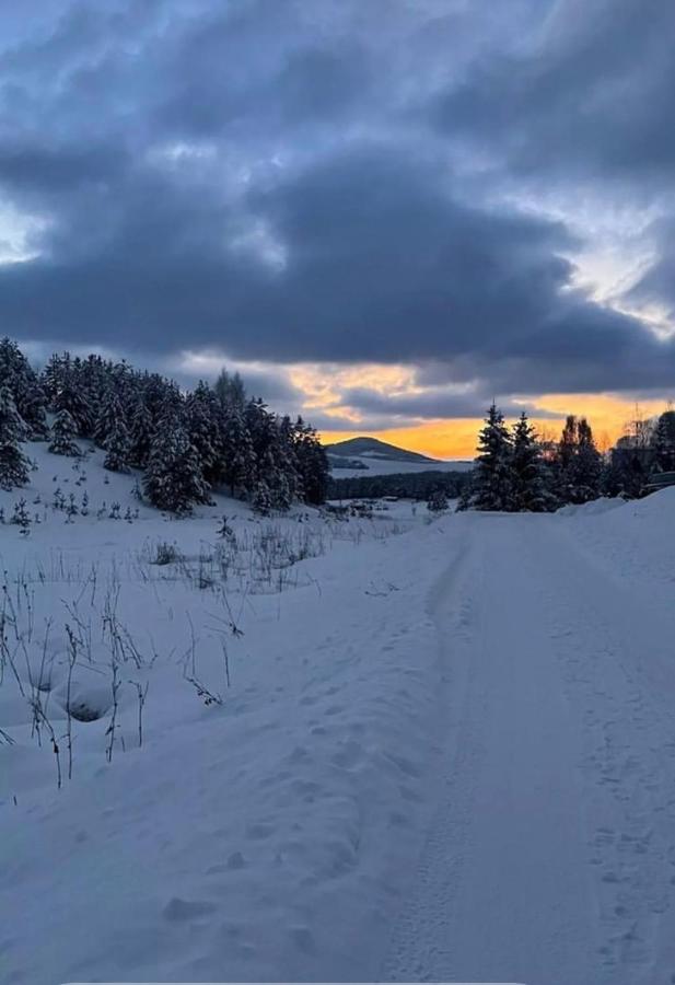 Pine Cabins Zlatibor Dış mekan fotoğraf